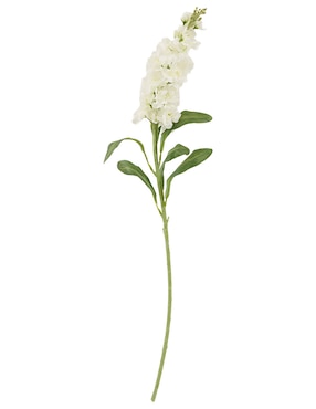 Delphinium Haus