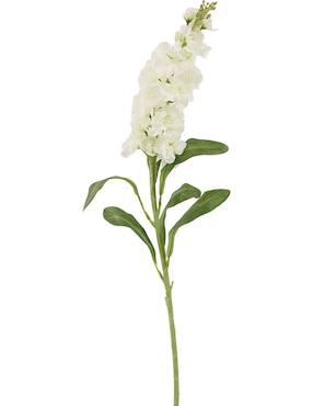 Delphinium Haus