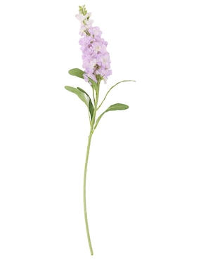 Delphinium Haus