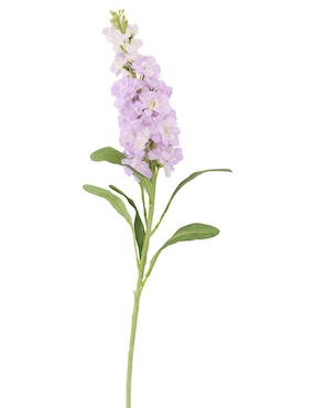 Delphinium Haus