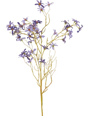 Forsythia decorativa Bluebell & Co.