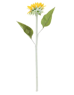 Girasol Haus