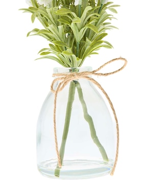 Preelaborado de lavanda Haus