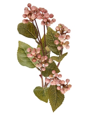 Vara de berries decorativa Haus