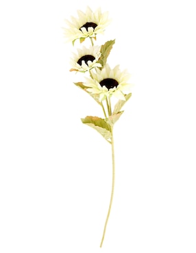 Flor de girasol Haus