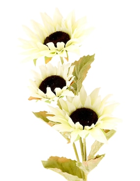 Flor de girasol Haus