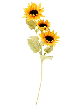 Flor de girasol Haus