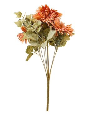 Ramo de gerbera Haus