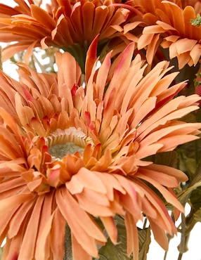 Ramo de gerbera Haus