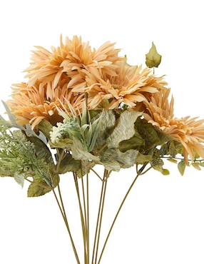 Ramo de gerbera Haus