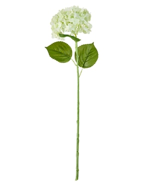 Hortensia Haus