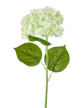 Hortensia Haus