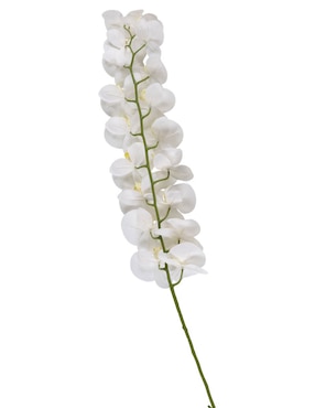Orquídea Haus
