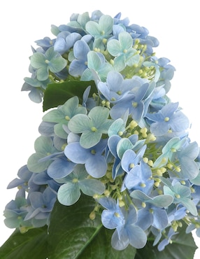Hortensia artificial Haus