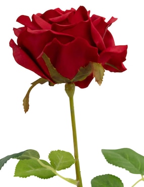 Rosa Haus