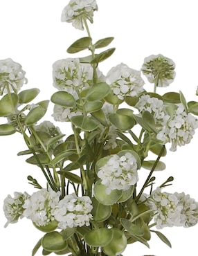 Preelaborado Hortensia Bluebell & Co.