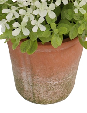 Preelaborado flores mixtas Bluebell & Co.