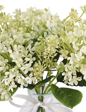 Preelaborado de hortensia Haus
