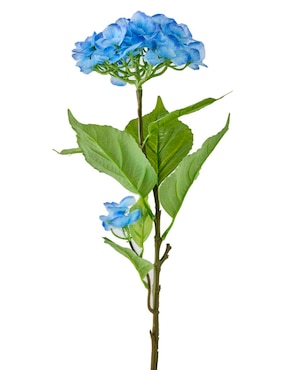 Ramo de hortensia Haus