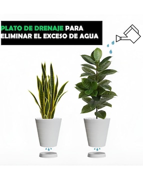 Set maceta Xtellar de plástico con sistema automático de riego