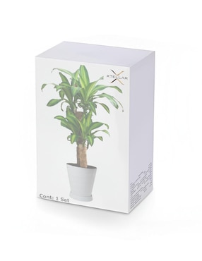 Set maceta Xtellar de plástico con sistema automático de riego