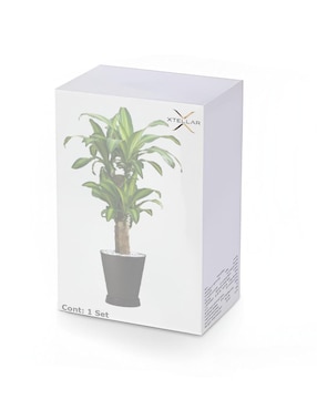 Set maceta Xtellar de plástico con sistema automático de riego
