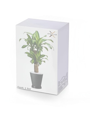 Set maceta Xtellar de plástico con sistema automático de riego