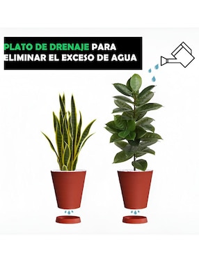 Set maceta Xtellar de plástico con sistema automático de riego