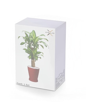 Set maceta Xtellar de plástico con sistema automático de riego