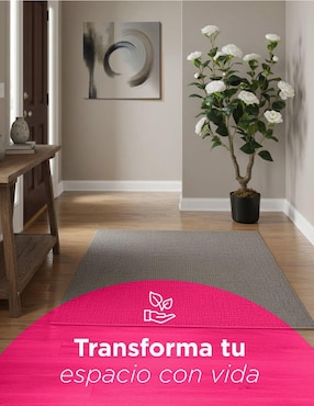 Árbol Vanlig Camelia Naturalé