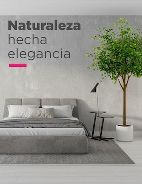 Árbol Vanlig Pandurata Grand