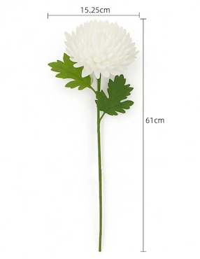 Flor de crisantemo Haus
