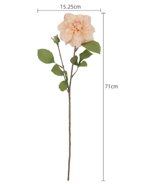 Flor de dalia Haus