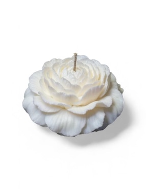 Kit de vela decorativa Lemich souvenir peonia 20 piezas aroma galleta
