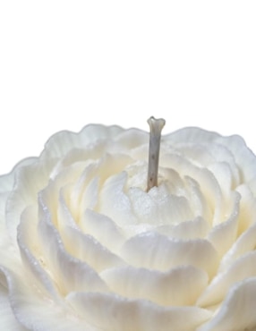 Kit de vela decorativa Lemich souvenir peonia 20 piezas aroma galleta