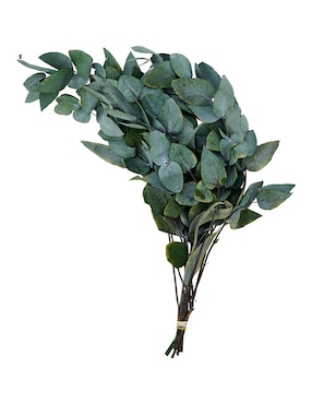 Eucalipto decorativo Tapia con acabado natural