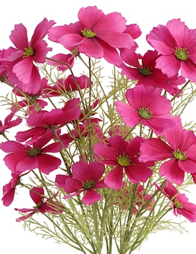 Ramo de Daisy Haus