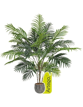 Árbol de palmera Artego palmera Hawaii