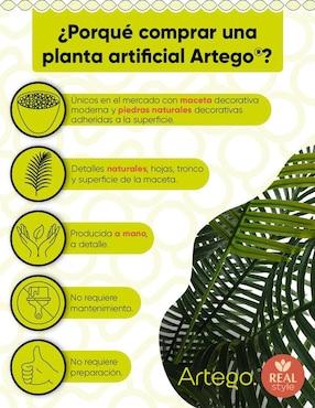 Árbol de palmera Artego palmera Hawaii