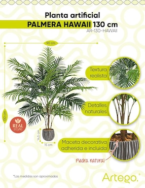 Árbol de palmera Artego palmera Hawaii