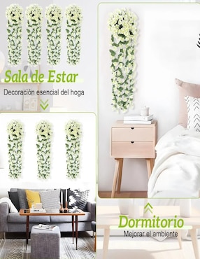 Ramo de Violeta belug