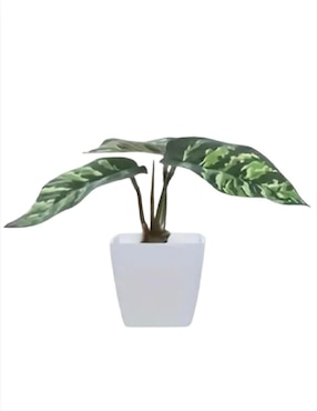 Bonsai artificial Güish
