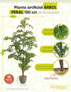 Planta Artego Palenque con maceta