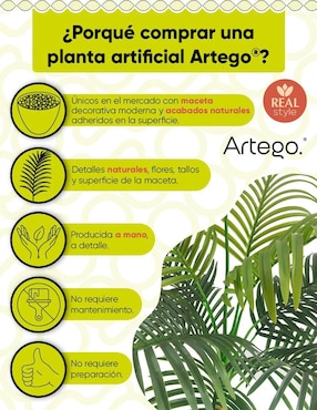 Planta Artego Amazona con maceta