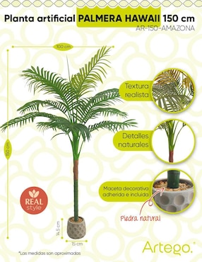 Planta Artego Amazona con maceta