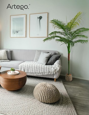 Planta Artego Amazona con maceta