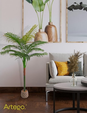 Planta Artego Amazona con maceta