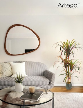 Planta Artego Nayarit con maceta