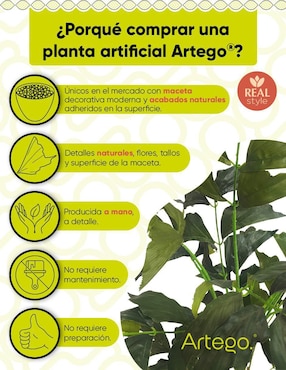 Planta Artego Fishtail con maceta