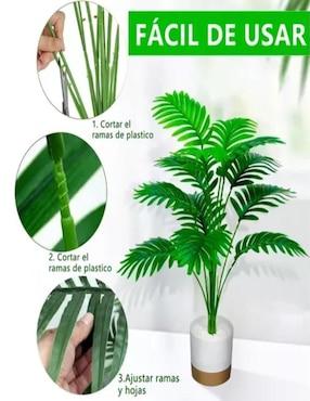 Flor de palmera Belug